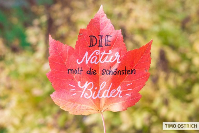 Geniale Handlettering Ideen zum Nachmachen (mit Beispielen)
